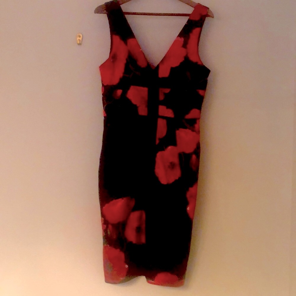 silk cocktail dress with asymmetrical red poppy design.